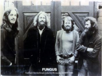 Fungus in their first life, press photo
